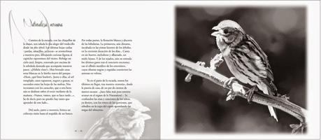 YA DISPONIBLE: Tras las huellas de la fauna ibérica ¡Pasen y lean!