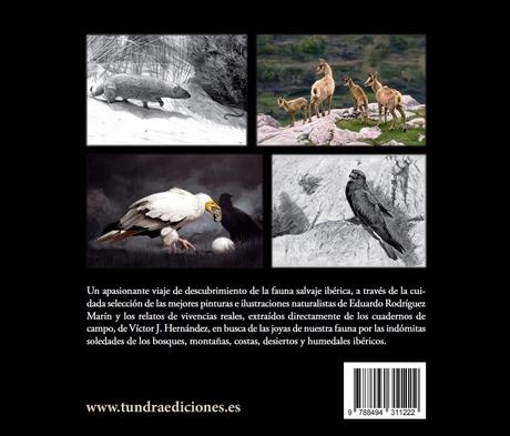 YA DISPONIBLE: Tras las huellas de la fauna ibérica ¡Pasen y lean!