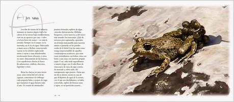 YA DISPONIBLE: Tras las huellas de la fauna ibérica ¡Pasen y lean!