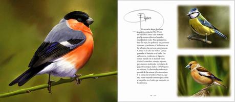 YA DISPONIBLE: Tras las huellas de la fauna ibérica ¡Pasen y lean!