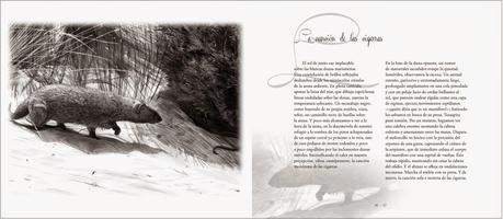 YA DISPONIBLE: Tras las huellas de la fauna ibérica ¡Pasen y lean!