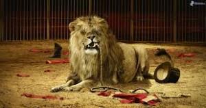 sueño con domesticar o domar