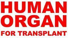 Disfraz de Halloween Disfraz de Halloween