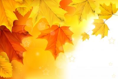 Actividades en Otoño para niños con Discapacidad Sensorial otoño