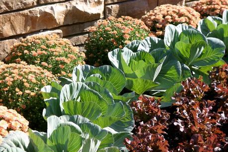 Cuando el jardín imita al huerto
