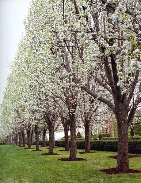 Cuando el jardín imita al huerto
