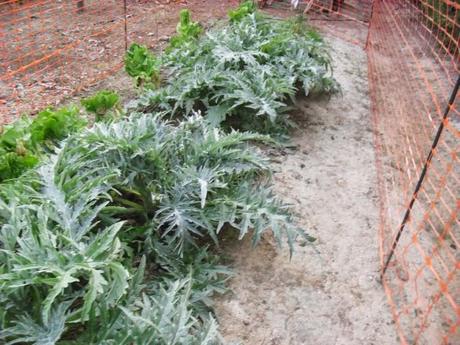 LA ACTIVIDAD EN EL HUERTO EN OCTUBRE 2014