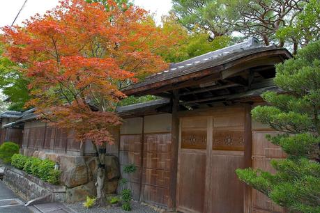 LA RUTA NIPONA: KYOTO (I) - CORAZÓN Y ESPÍRITU