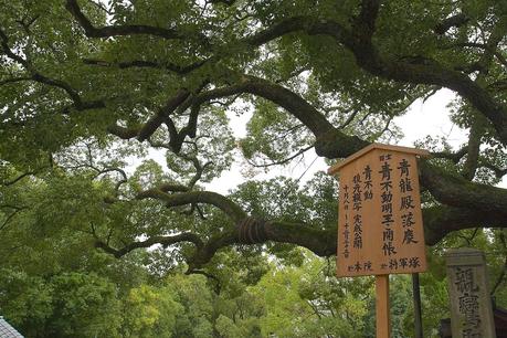 LA RUTA NIPONA: KYOTO (I) - CORAZÓN Y ESPÍRITU