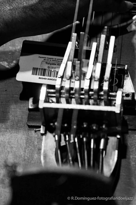 © R.Domínguez - Paolo Angeli