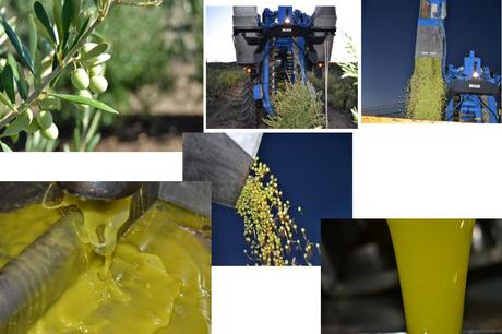 LOS ANSIADOS VIENTOS DE CAMBIO