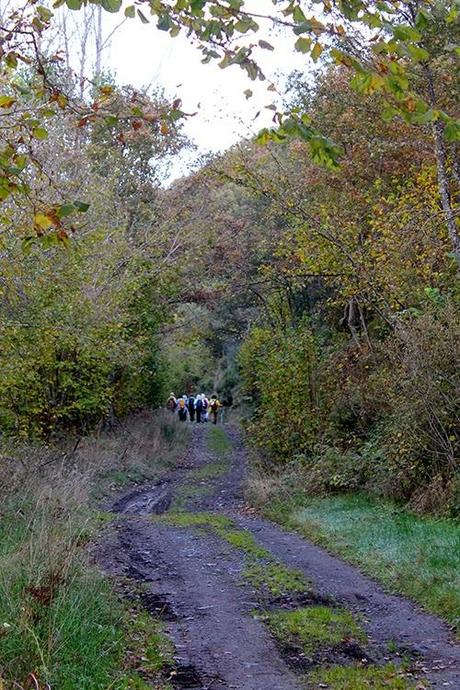 De Fasgar a Igueña por el antiguo Camino de Santiago por la montaña