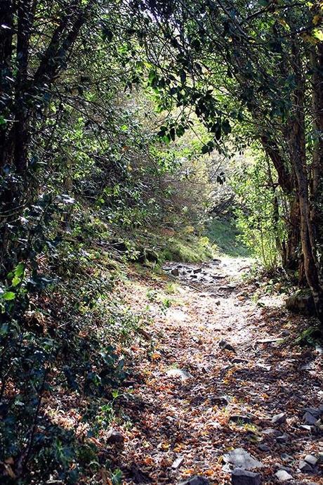 De Fasgar a Igueña por el antiguo Camino de Santiago por la montaña