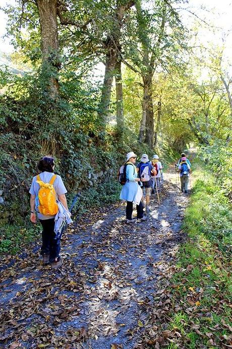 De Fasgar a Igueña por el antiguo Camino de Santiago por la montaña