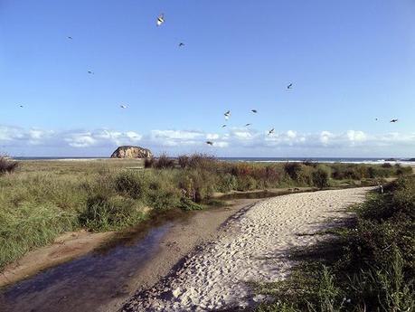 Camino de la Costa: de Tapia de Casariego a Foz
