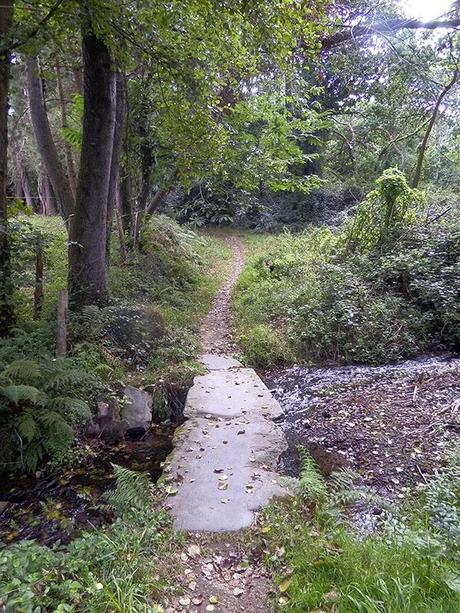 Camino del Norte: De Puerto de Vega a Tapia de Casariego