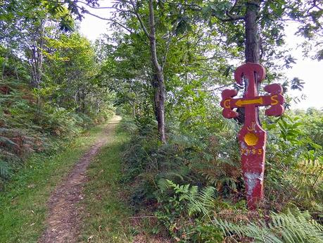 Camino del Norte: De Puerto de Vega a Tapia de Casariego