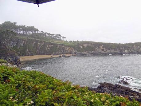 Camino del Norte: De Puerto de Vega a Tapia de Casariego