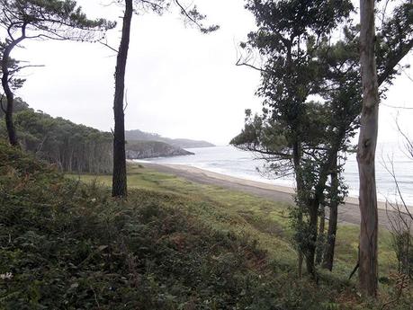 Camino del Norte: De Puerto de Vega a Tapia de Casariego