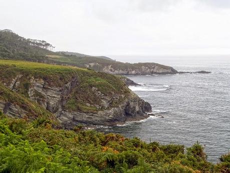 Camino del Norte: De Puerto de Vega a Tapia de Casariego