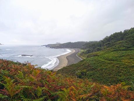 Camino del Norte: De Puerto de Vega a Tapia de Casariego