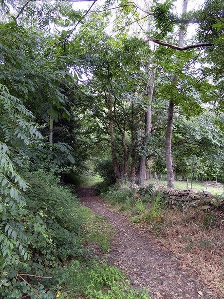 Camino del Norte: De Puerto de Vega a Tapia de Casariego