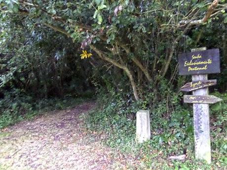 De Playa de Cueva a Puerto de Vega, otro precioso tramo por el Camino de la Costa.
