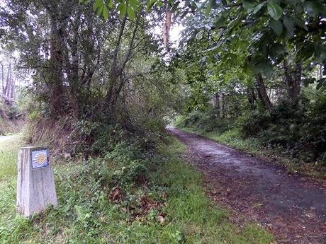 De Playa de Cueva a Puerto de Vega, otro precioso tramo por el Camino de la Costa.