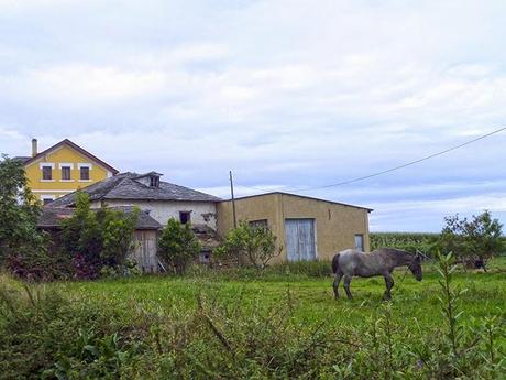 De Playa de Cueva a Puerto de Vega, otro precioso tramo por el Camino de la Costa.
