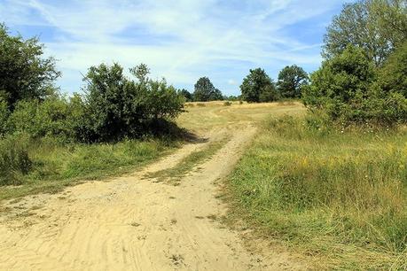 Antiguo Camino de Santiago: De Robles de la Valcueva a La Robla.