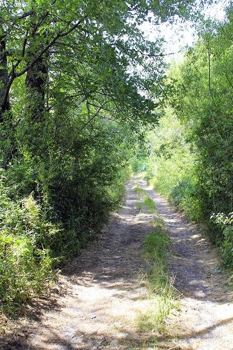 Antiguo Camino de Santiago: De Robles de la Valcueva a La Robla.