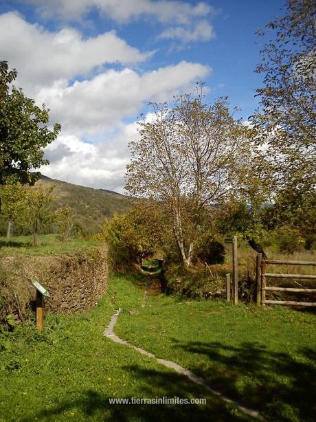 Hayedo de Montejo, el lienzo del otoño La Hiruela, Sierra del Rincón