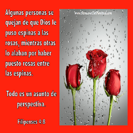 Todo es un Asunto de Perspectiva