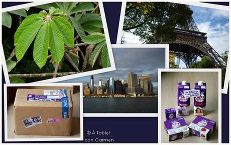 Kaiku Sin Lactosa ¡te invita a volar!