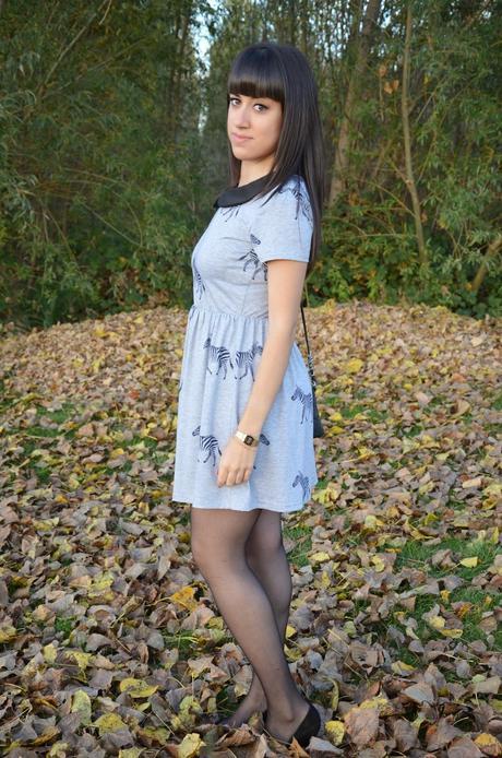 Lovely zebras!!! Lovely zebras!!!