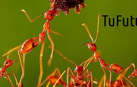 Setiembre mes de evoluciones cc @tufuturoyo @alberto_rodilla @desmarcateya @enpositiu