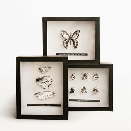 Alquian cumple 2 años y nos sorprende con una exquisita Colección Particular