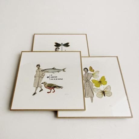 Alquian cumple 2 años y nos sorprende con una exquisita Colección Particular