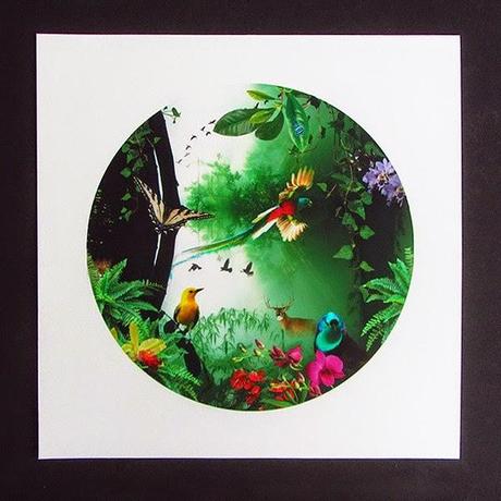 Alquian cumple 2 años y nos sorprende con una exquisita Colección Particular