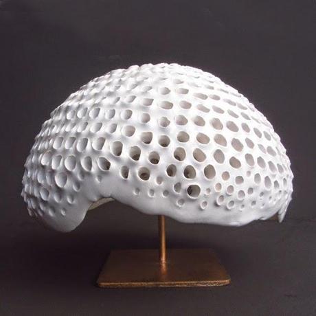 Alquian cumple 2 años y nos sorprende con una exquisita Colección Particular