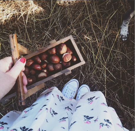 5 COSAS QUE ME GUSTAN DEL OTOÑO capture-20141031-194558