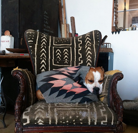 5 COSAS QUE ME GUSTAN DEL OTOÑO dormirlasiesta