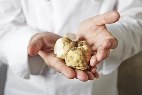 Manos_Paco_trufa