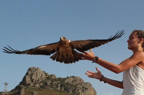 El cuidado de la Biodiversidad como fuente de sostenibilidad