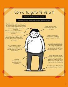 ¿Qué mascota deberías adoptar?