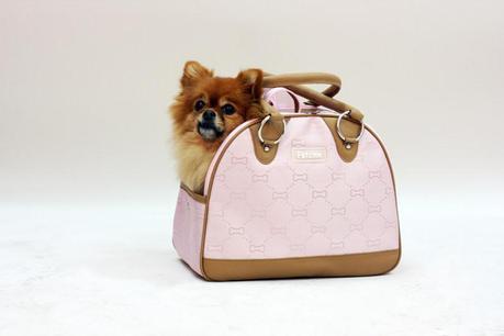 ¿Qué mascota deberías adoptar?