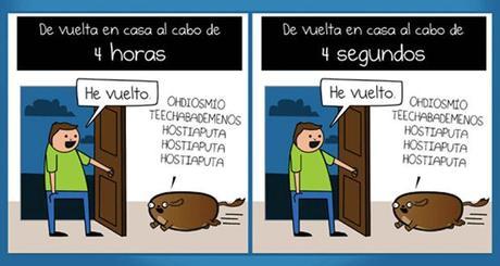¿Qué mascota deberías adoptar?