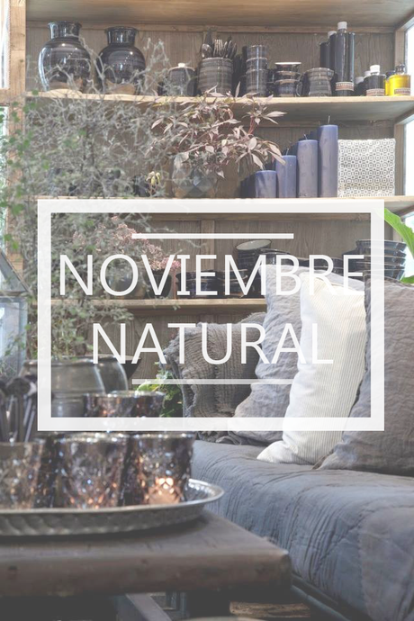 Flores y plantas para una abientacion natural