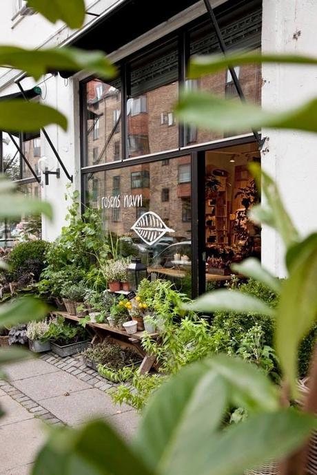 Flores y plantas para una abientacion natural