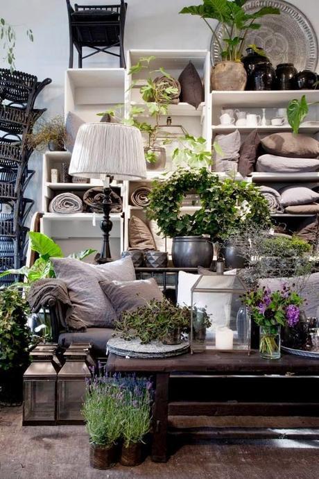 Flores y plantas para una abientacion natural